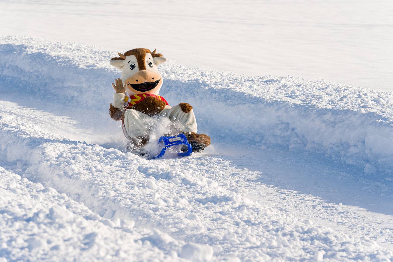 Ganze Ferienwohnung, Bio-Kinderbauernhof Wilmershof - Ferienwohnung Piepmatz, 28qm, 1 Schlafzimmer, max. 3 Personen in Schwärzenbach, Titisee-Neustadt