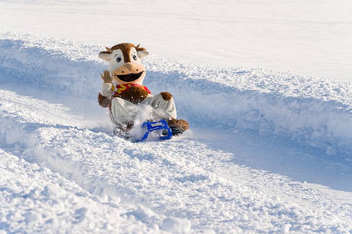 Ferienwohnung für 3 Personen, mit Sauna und Whirlpool in Titisee-Neustadt - 3