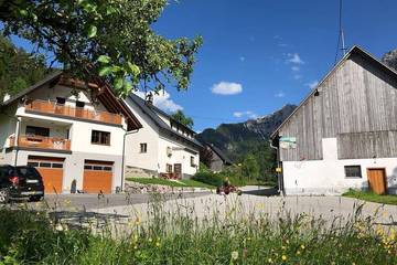 Agriturismo für 3 Personen in Spital am Pyhrn, Kirchdorf an der Krems (Bezirk), Bild 3