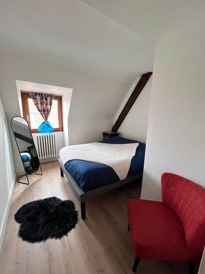 Gîte pour 11 personnes, avec vue, animaux acceptés à Marckolsheim - 4