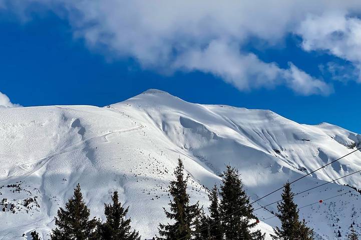 Chalet pour 12 personnes, avec jardin et balcon