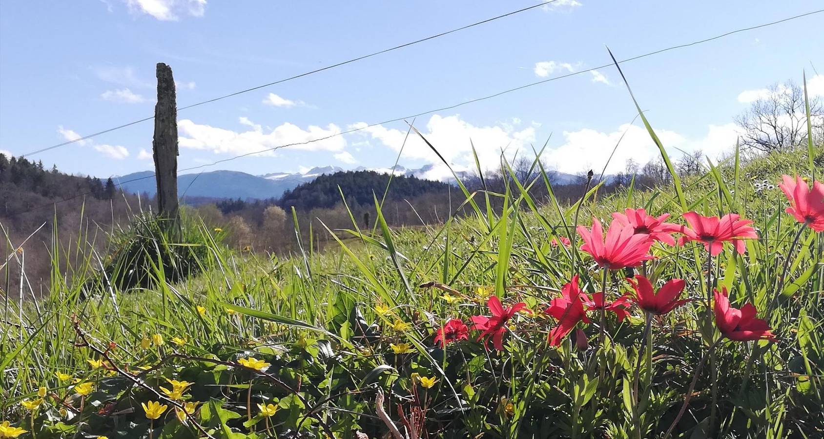 L'échappée Belle 64 in Région D'oloron-Sainte-Marie