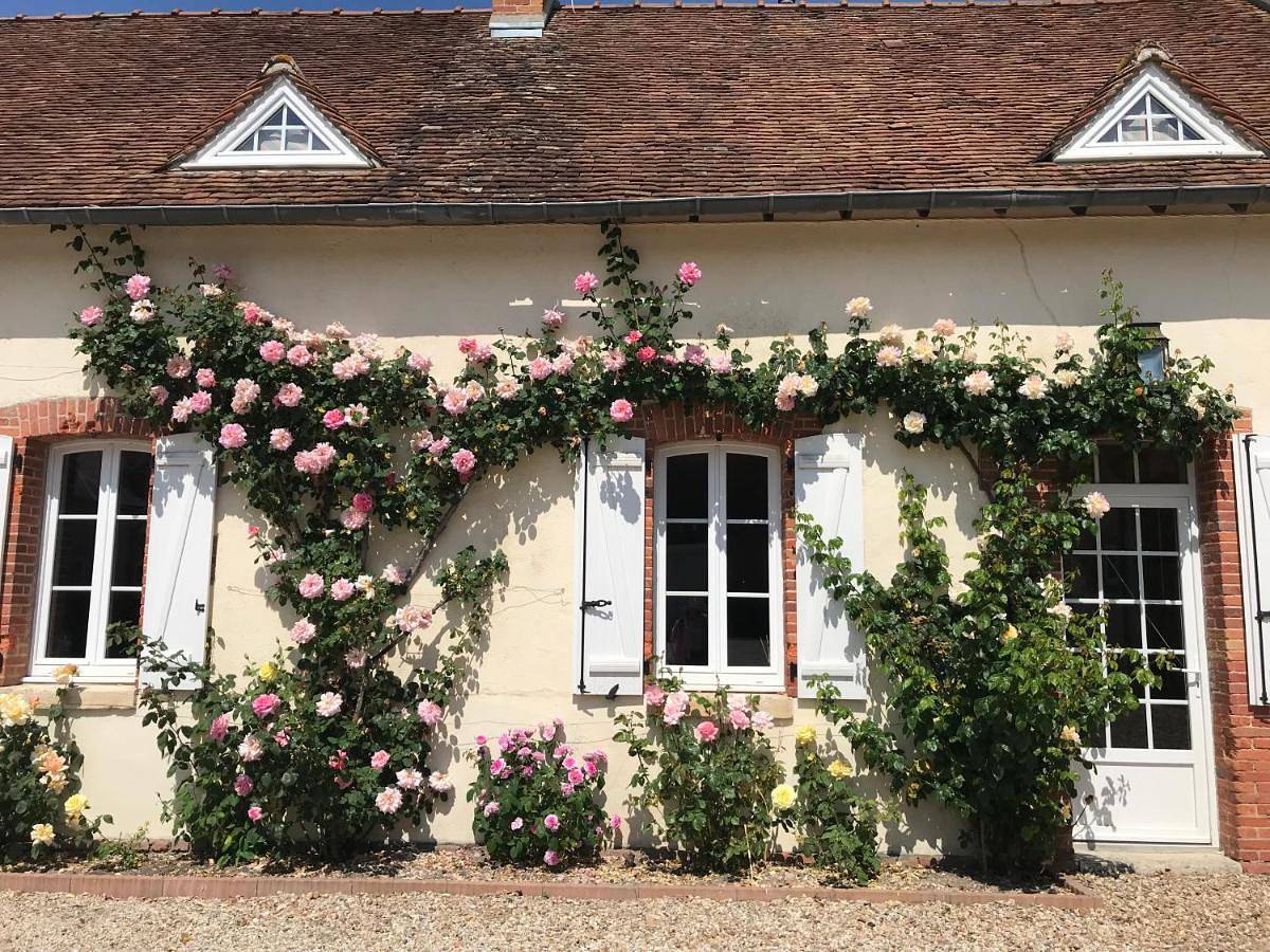 Les Gelots in Villemurlin, Sologne