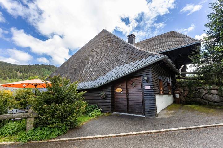 Ferienwohnung für 9 Personen, mit Balkon und Garten sowie Sauna in Suedlicher Schwarzwald - 2