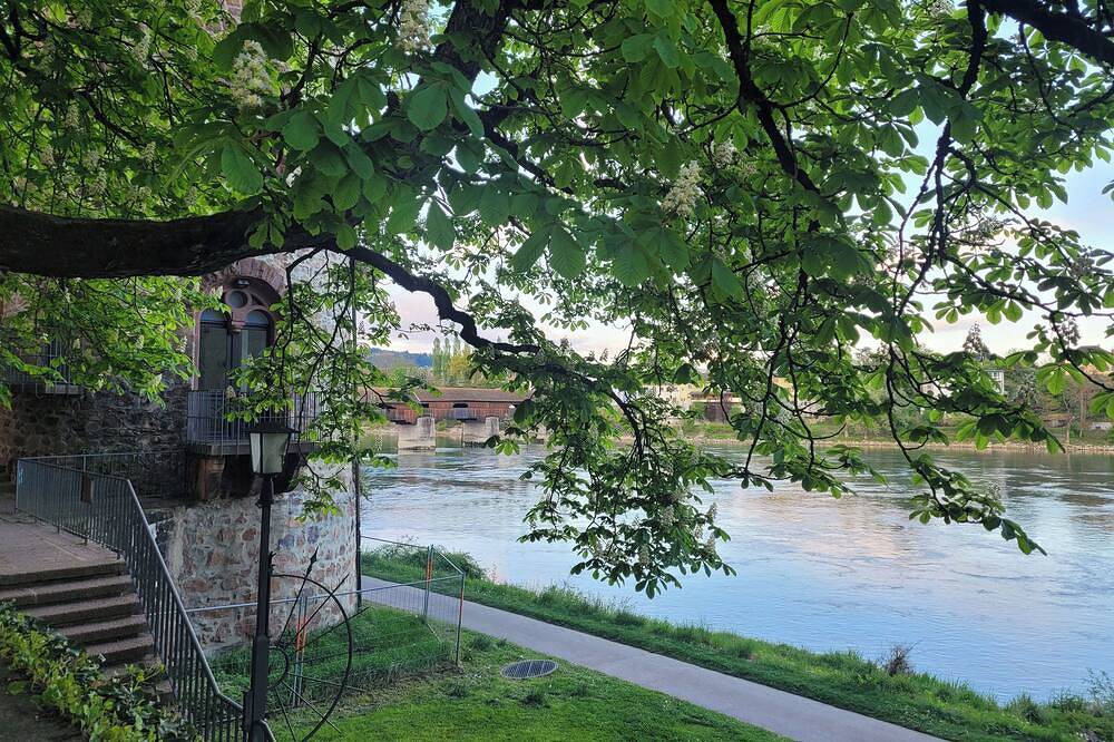 Ganze Wohnung, Doppelzimmer Superior mit Dusche und Wc in Bad Säckingen, Südschwarzwald