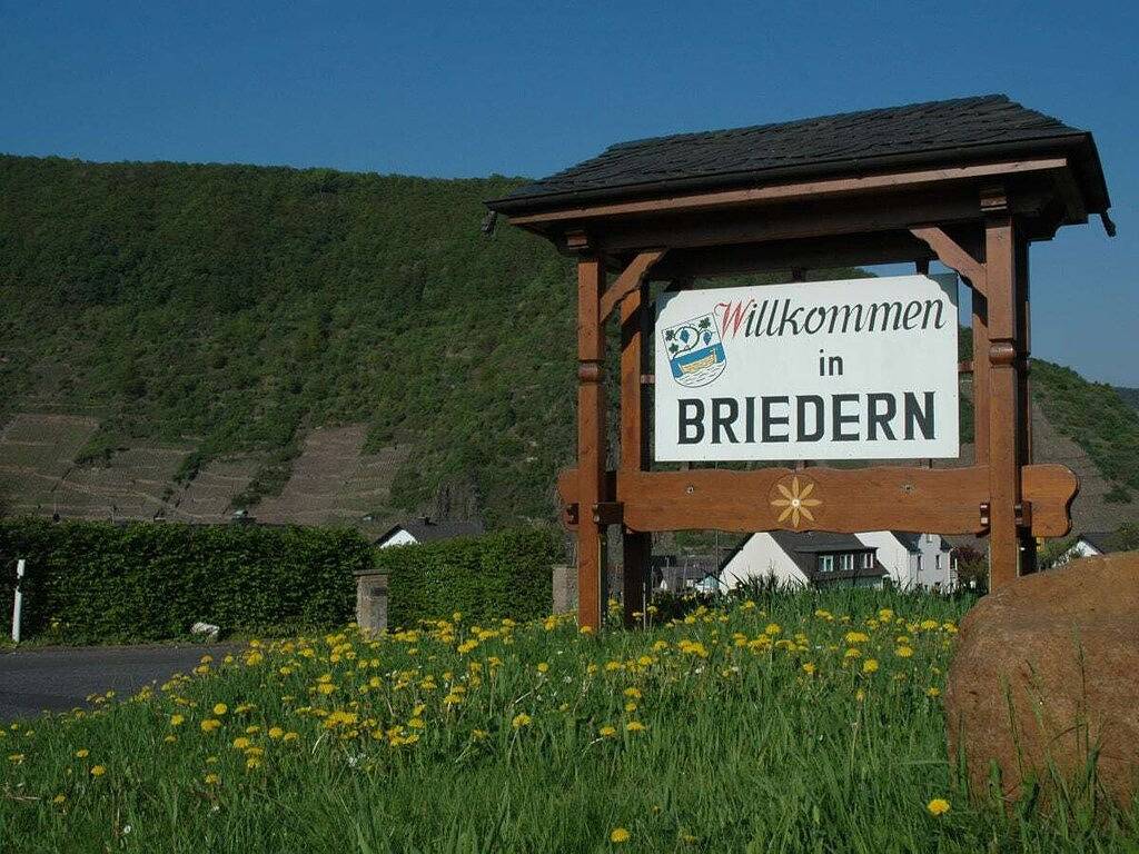 Ferienhaus in Briedern mit Schwimmbecken in Briedern, Cochem-Zell