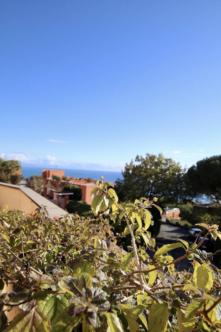 Ganze Wohnung, Casa Giusy in Varazze (Stadt), Varazze