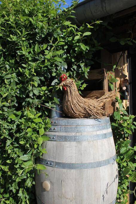 Location de vacances pour 3 personnes, avec jardin à Bindernheim - 3