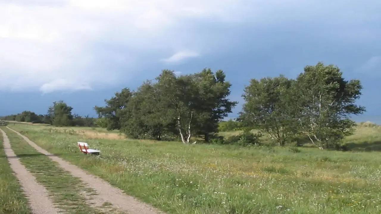 Ferienhaus für 11 Personen (132 m²) in Væggerløse in Væggerløse, Schwedische Ostsee