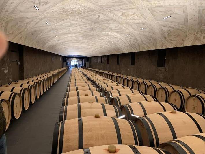 Gîte pour 4 personnes, avec terrasse ainsi que jardin et vue à Cussac-Fort-Médoc - 4