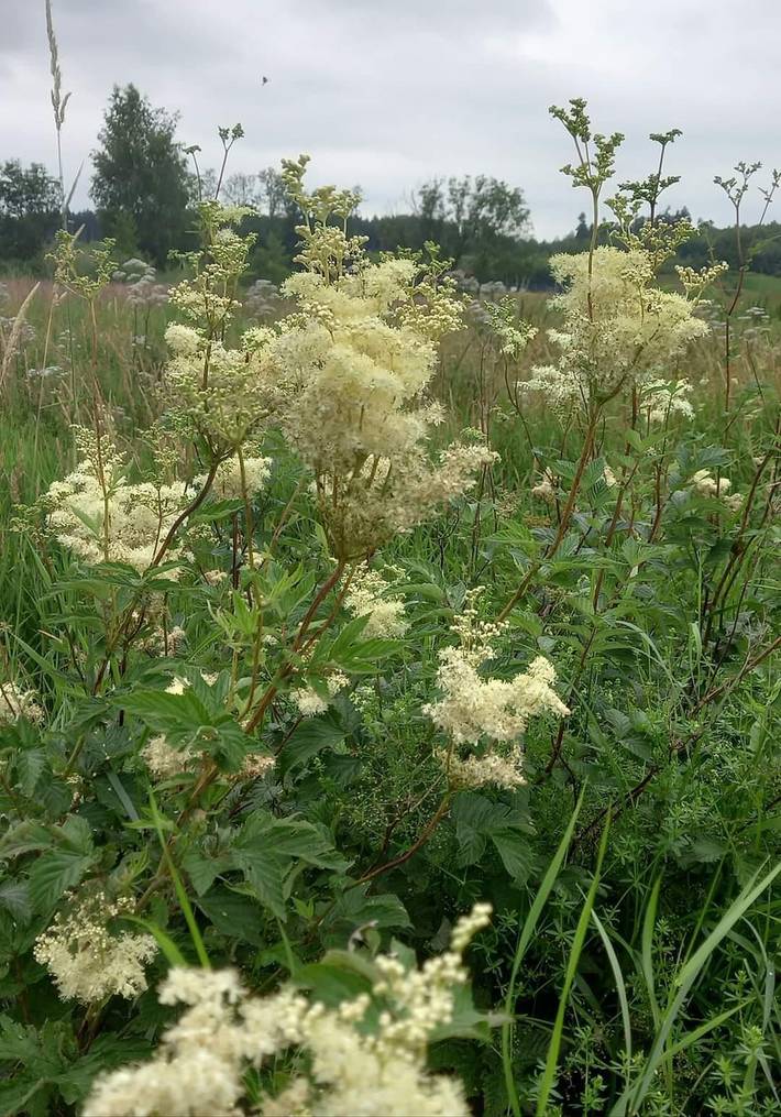 Ferienwohnung für 2 Personen, mit Garten, kinderfreundlich im Hunsrück - 4