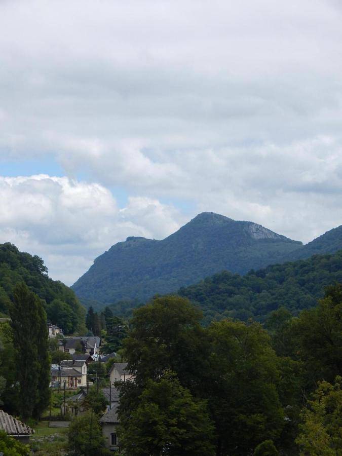 Gîte pour 4 personnes, avec vue, animaux acceptés à Saint-Pé-de-Bigorre - 2