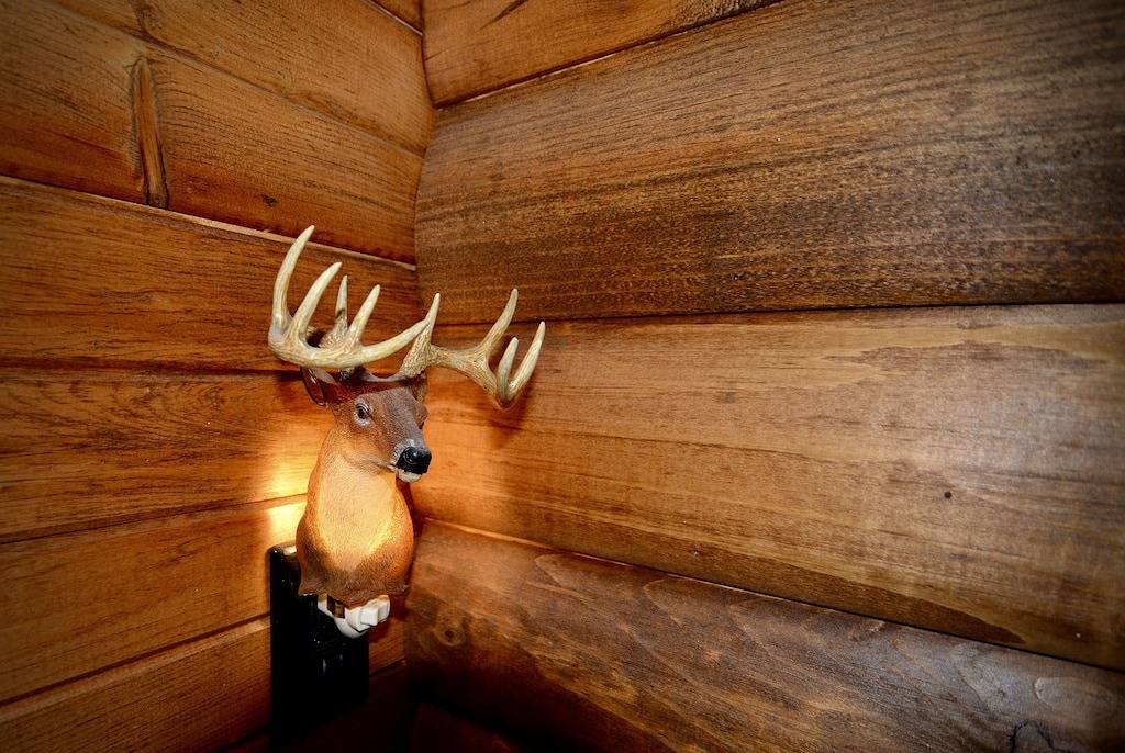 Lodge for 8 Guests in New Brunswick, Canada