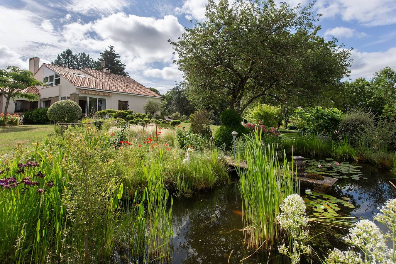 Guest Room “Les Hortensias” with Shared Terrace & Garden, Wi-Fi in Rochechouart, Périgord-Limousin Regional Nature Park