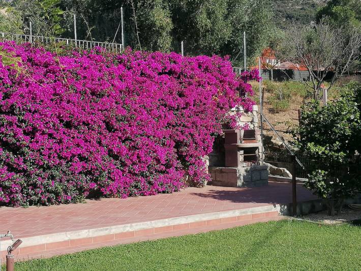 Ferienhaus für 5 Personen, mit Garten auf Elba - 3