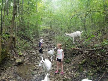 Barn for 8 Guests in Minnesota, USA, Picture 2