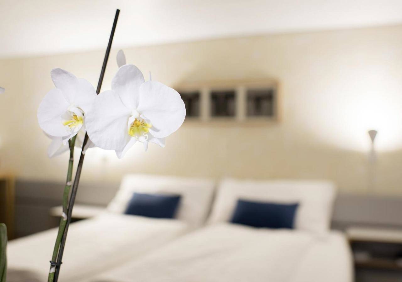 Hotel für 2 Personen mit Garten in Lenk im Simmental, Lenk
