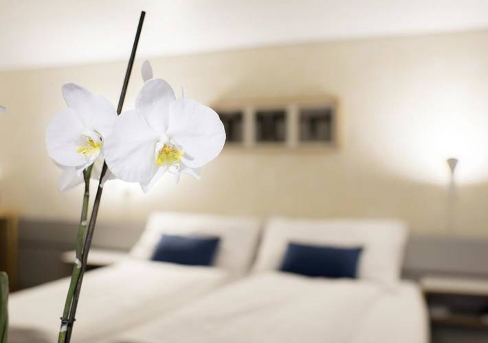 Hotel für 2 Personen, mit Terrasse und Garten sowie Sauna in Lenk