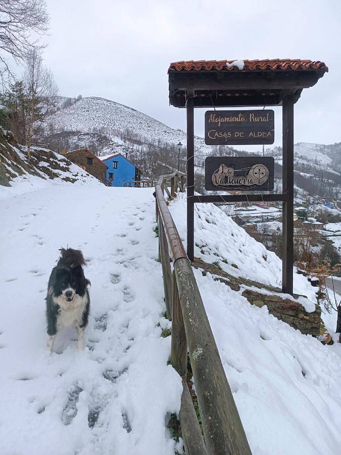 Casa rural para 4 personas, con jardín y vistas, Se admiten mascotas en Comarca del Caudal - 4