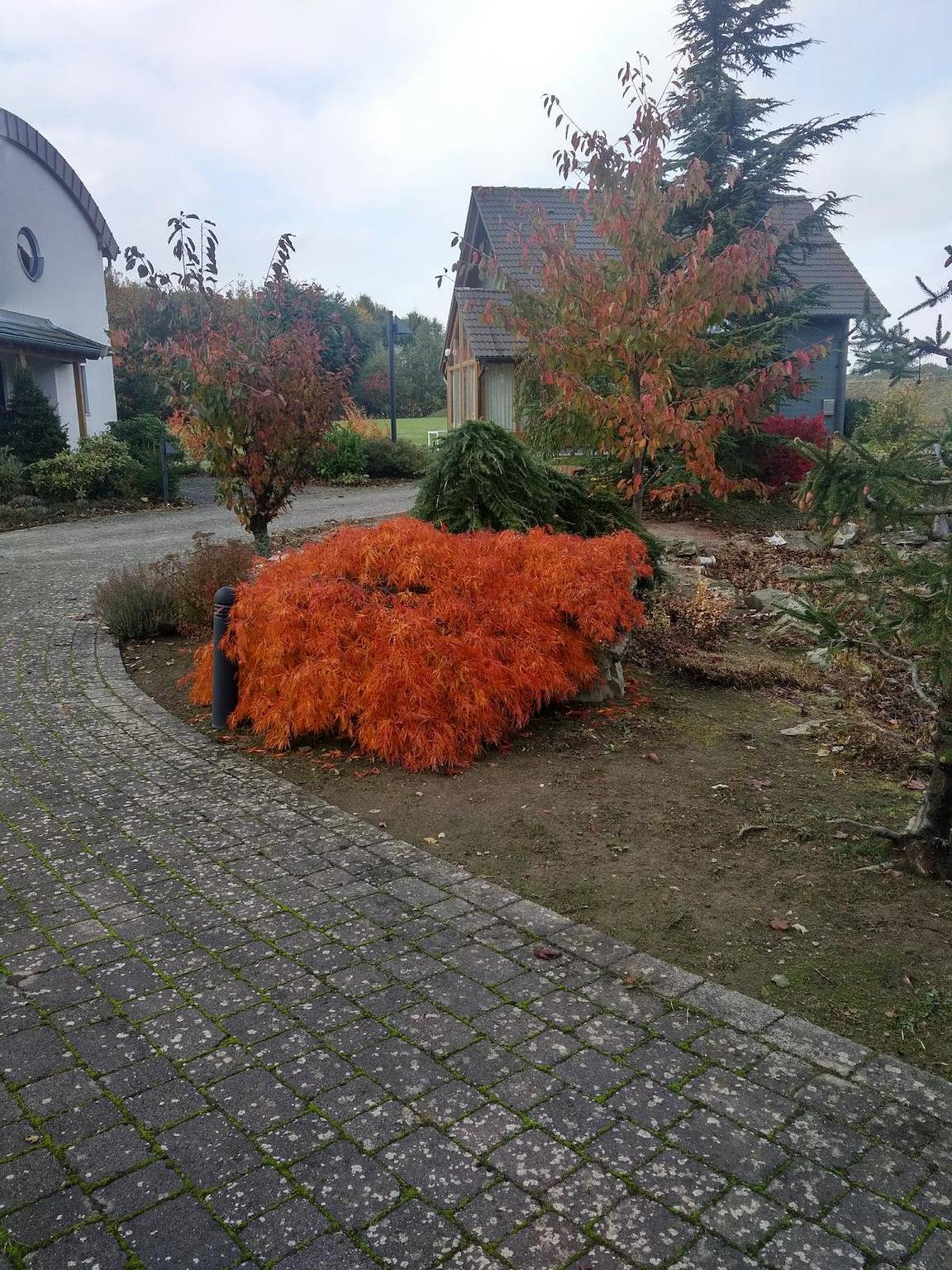 Das gelbe Landhaus in Zell (Mosel), Traben-Trarbach und Umbegung