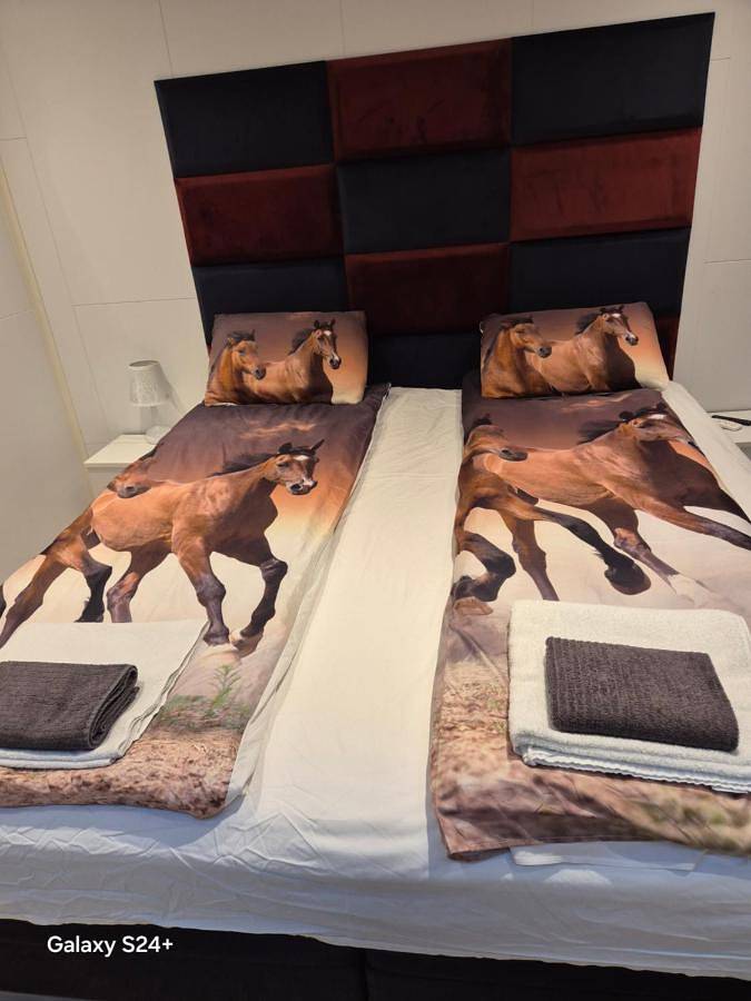 Gîte pour 8 personnes, avec vue dans Ålesund - 3