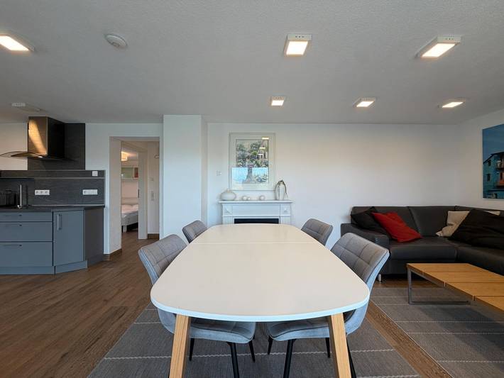 Ganze Wohnung, Uferblick in Süßenmühle – moderne Ferienwohnung mit privatem Garten nahe am See in FKK Badestrand Süßenmühle, Sipplingen