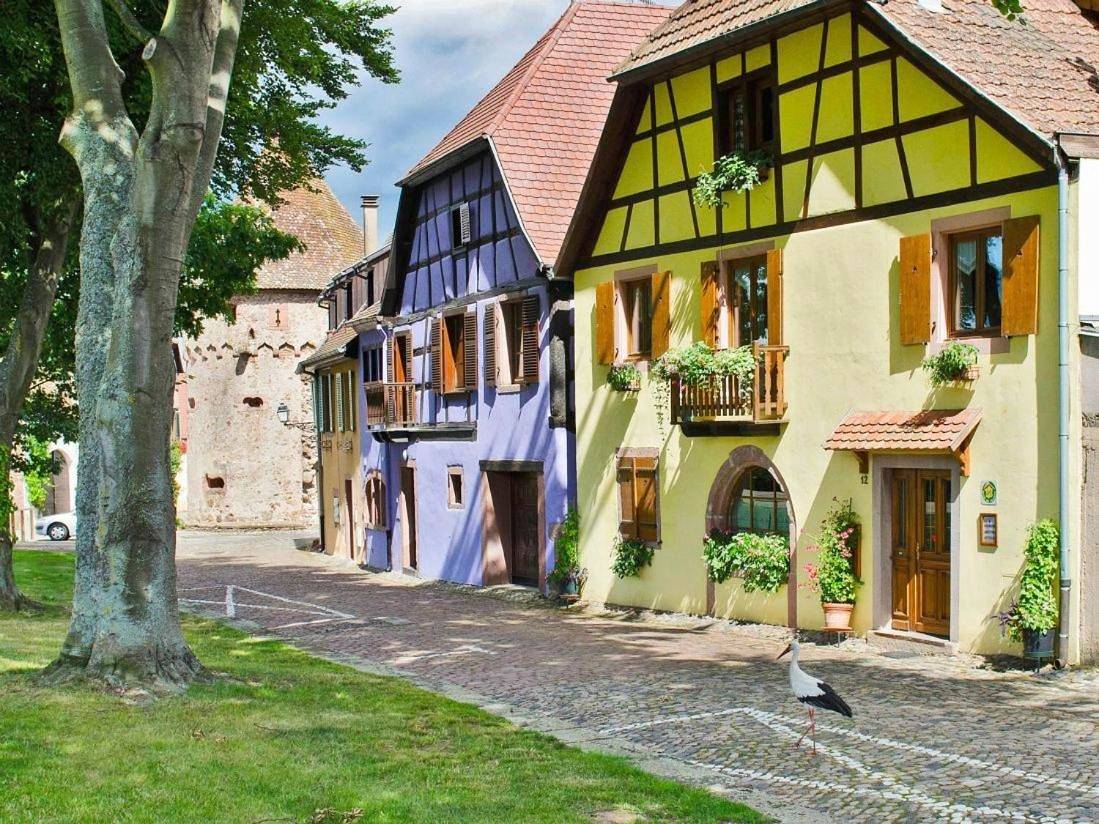 Appartement entier, La Maison Jaune in Ammerschwihr, Parc naturel régional des Ballons des Vosges