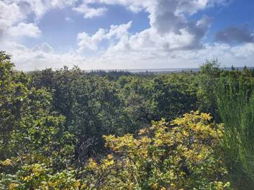 Ferienhaus für 8 Personen in Henne Strand, Filsø See, Bild 3