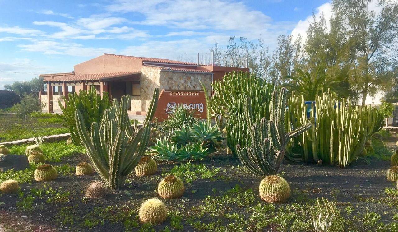 Warung in Lajares, La Oliva