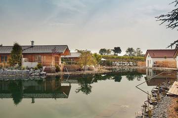 Ferienhaus für 4 Personen in Langenlois, Wiener Umland & Wienerwald, Bild 3