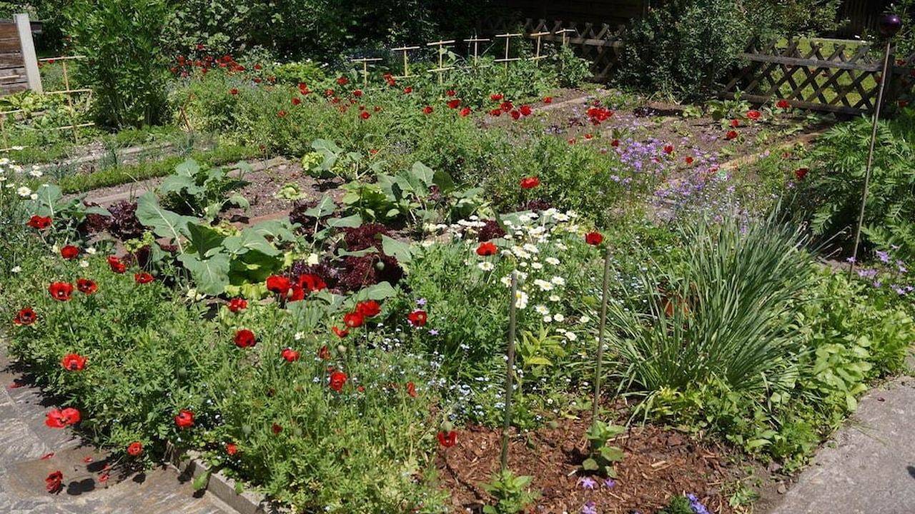 Ferienhaus für 3 Personen (55 m²) in Deutschlandsberg in Deutschlandsberg (Stadt), Deutschlandsberg