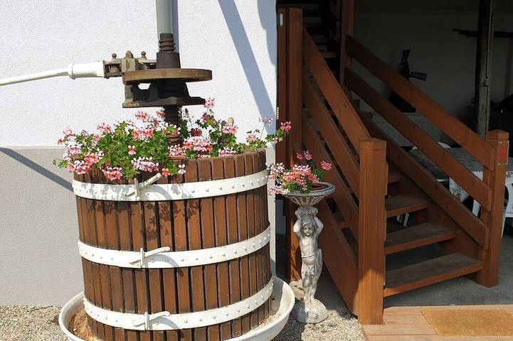 Location de vacances pour 6 personnes, avec Terrasse à Eguisheim