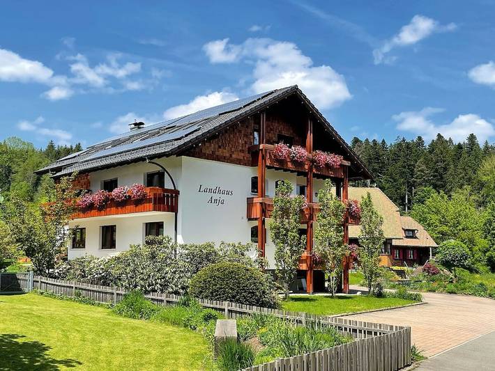 Ferienhaus für 3 Personen, mit Garten und Balkon in Freudenstadt - 2
