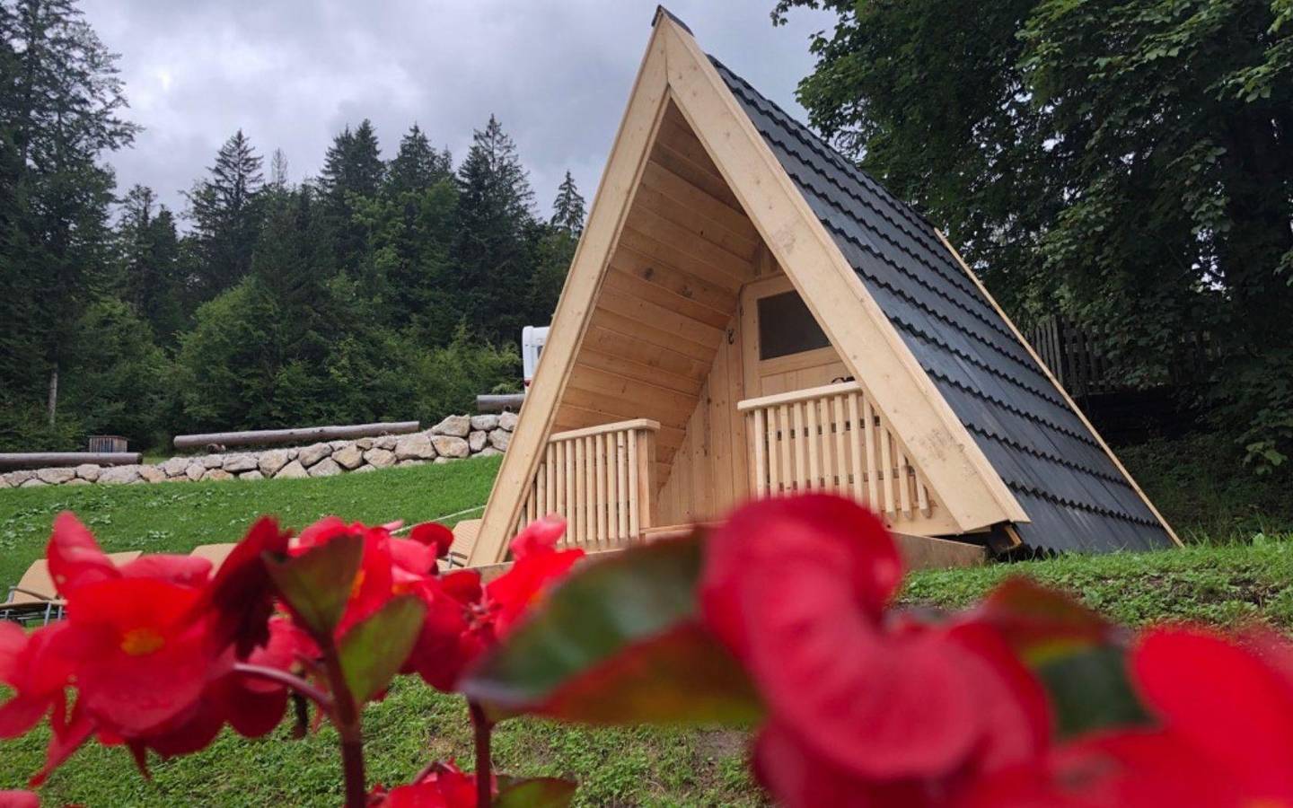 Ganze Ferienwohnung, Naturloft in Dachsteingebirge, Bad Aussee