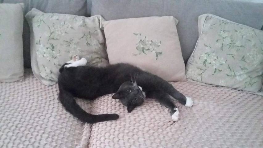 Location de vacances pour 2 personnes à Glastonbury - 3