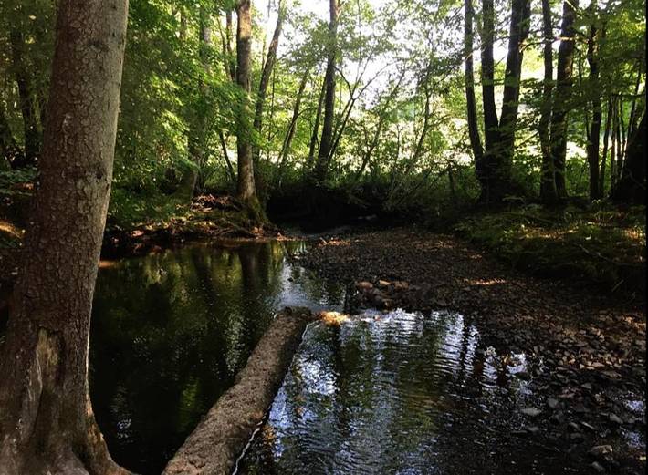 Location de vacances pour 4 personnes, avec jacuzzi ainsi que sauna et terrasse à Beauraing - 4