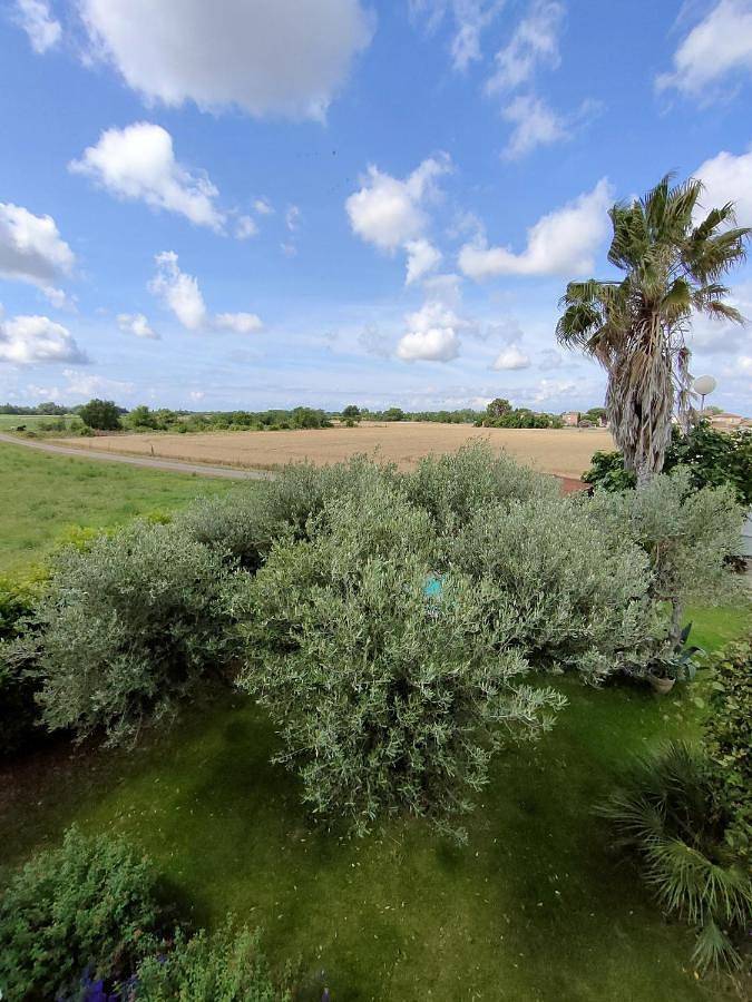 Location de vacances pour 8 personnes, avec piscine ainsi que jardin et terrasse, animaux acceptés à Lunel-Viel - 3