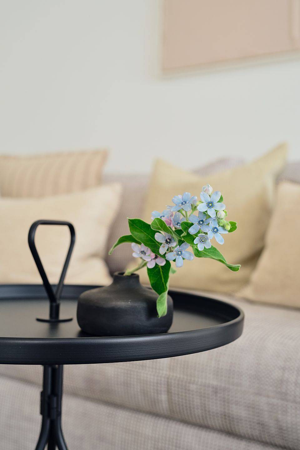 Ganze Wohnung, Entspannen im Pine Hill Resort: Neues, modernes Apartment B 7 mit Gartenblick in Zirchow, Usedom