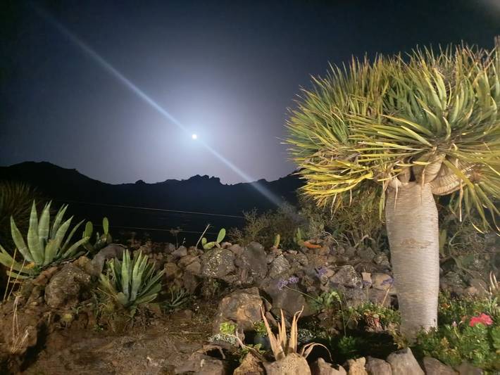 Casa rural para 3 personas, con terraza y jardín en Buenavista del Norte - 3