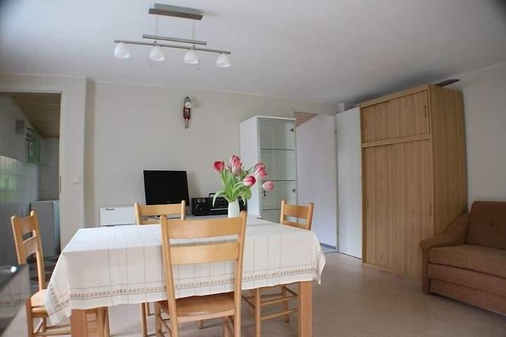 Ferienhaus für 4 Personen, mit Terrasse und Garten, mit Haustier in Sachsen - 4