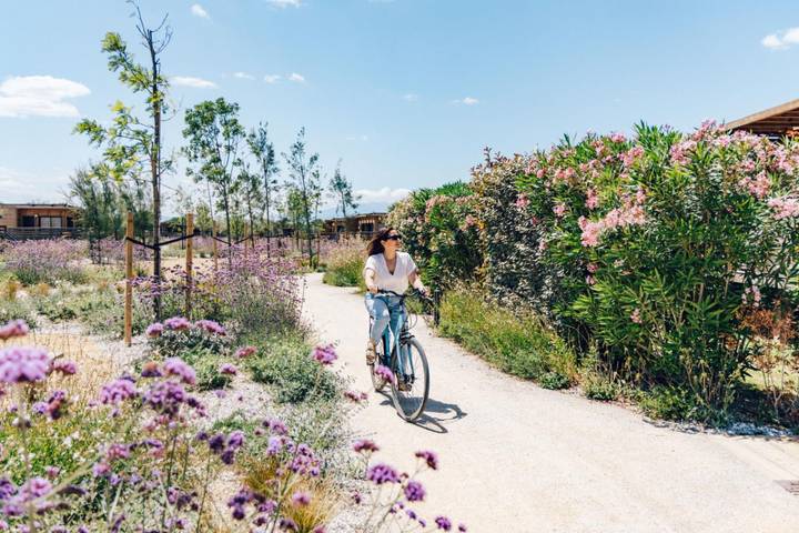 Villa pour 4 personnes, avec sauna et piscine ainsi que jardin et balcon, adapté aux familles à Saint-Cyprien - 2