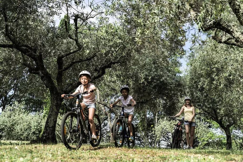 Appartement entier, 2 Pièces 2 Personnes Pmr in Berrias-et-Casteljau, Parc national des Cévennes