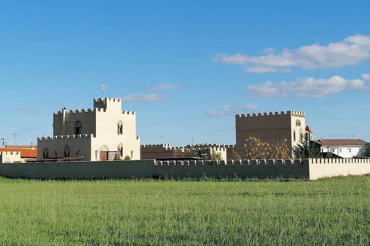 Castillos con encanto en el Robledo - Ciudad Real.  13+15 personas. con AC in El Robledo, La Mancha