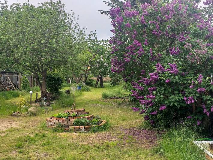 Ferienhaus für 5 Personen, mit Terrasse und Garten in Kröslin - 4