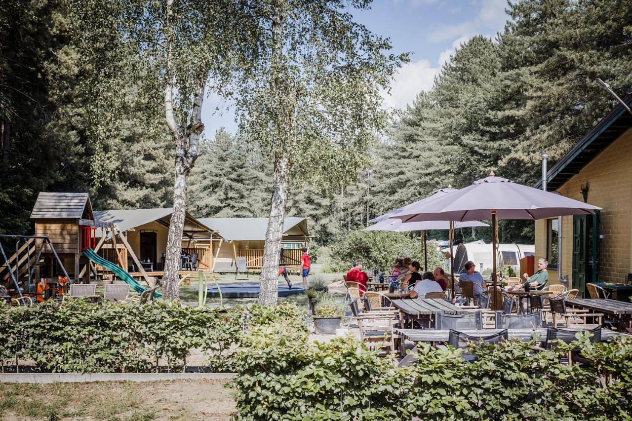 Camping Siësta in Lille (Belgique), Région d'Anvers