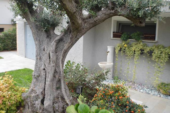 Location de vacances pour 7 personnes, avec jardin à Mogliano Veneto - 4