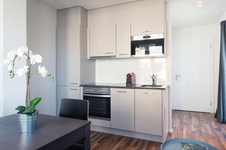 Gîte pour 5 personnes, avec balcon, animaux acceptés à Zurich - 2