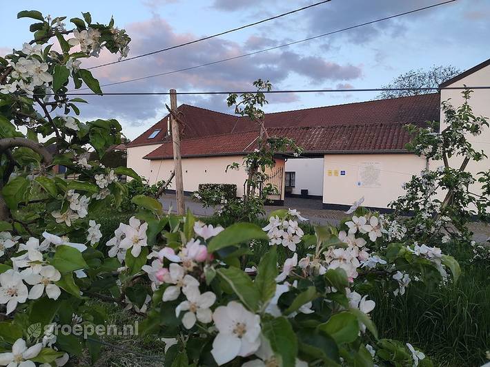 Ferienhaus für 16 Personen, mit Garten und Seeblick sowie Sauna und Terrasse - 1