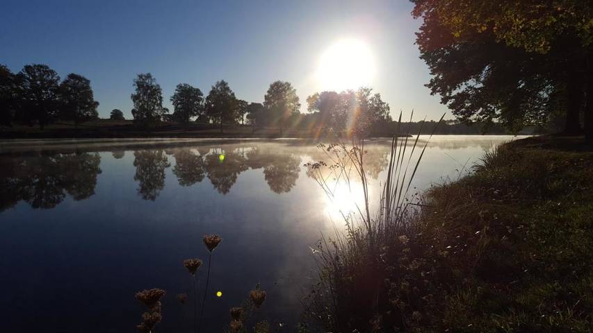 Location de vacances pour 3 personnes, avec vue ainsi que jardin et vue sur le lac, animaux acceptés à Saint-Hilaire-les-Places - 4