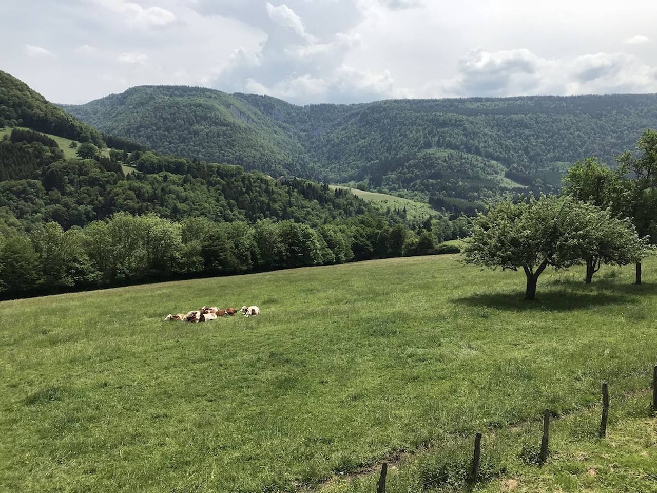 Casa acogedora en Vaucluse con amplio jardín 84 m² in Vaucluse (Doubs), Doubs (desambiguación)